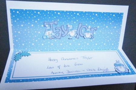 Xmas Taylor Matching Large Dl Insert by Davina Rundle