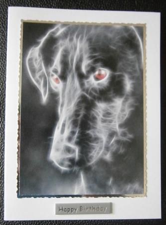 Electrix Doberman A4 Card Front Beware of the Dog Sign by Davina Rundle
