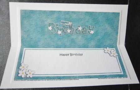 Denim N Daisies Matching Large Dl Insert by Davina Rundle