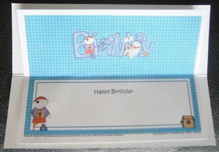 Birthday Pirates Large Dl Matching Large Dl Insert by Davina Rundle