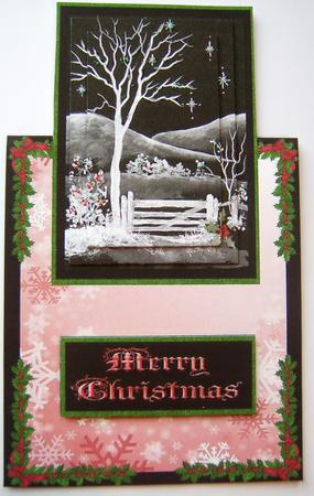 Festive Red Winter Garden Over the Edge Card by Davina Rundle