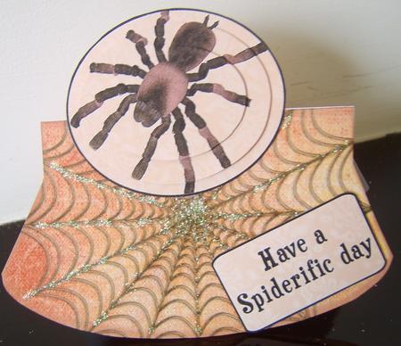 Spider Halloween by Davina Rundle