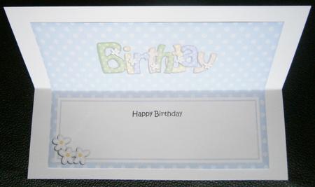 Birthday Birthday Matching Large Dl Insert by Davina Rundle