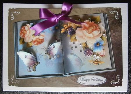 Book English Roses and Butterflies by Davina Rundle