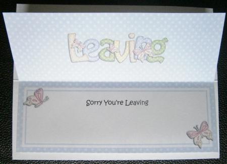 Sorry You're Leaving Large Dl Matching Insert by Davina Rundle