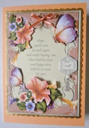 Natures Way Get Well by Davina Rundle