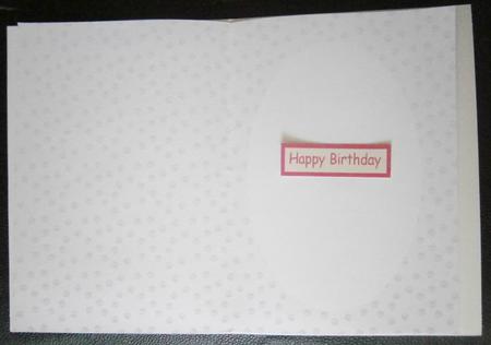 Paw Prints Insert by Davina Rundle