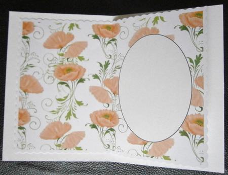 Orange Poppy Insert 2 by Davina Rundle