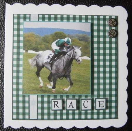Race by Davina Rundle