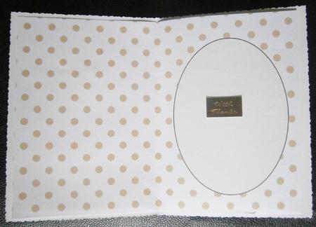 Caramel and Cream Insert 13 by Davina Rundle