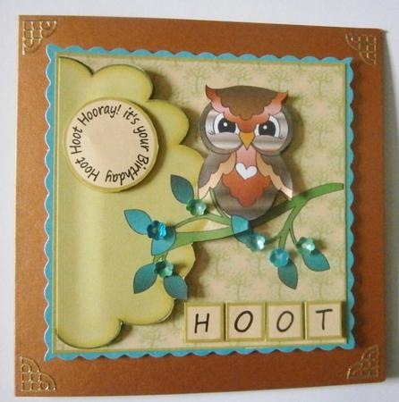 Hoot/wise by Davina Rundle