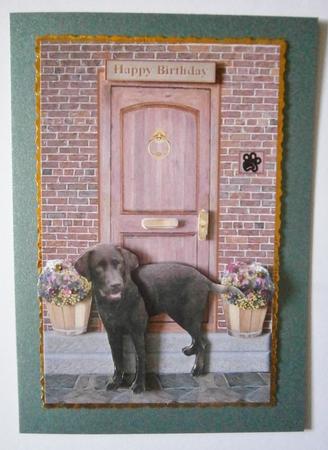 Chocolatelabrador on a Door Step by Davina Rundle