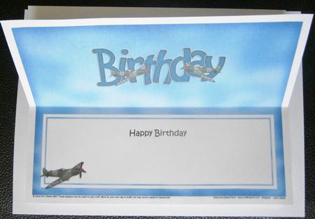 Birthday Spitfire Plane Large Dl Matching Large Dl Insert by Davina Rundle