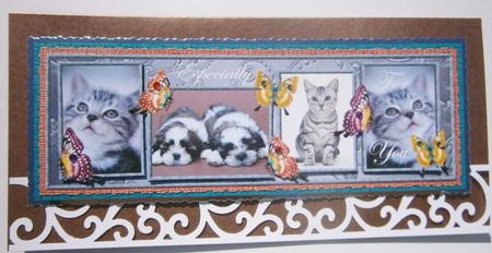 Large Dl Cats and Dogs 1 by Davina Rundle