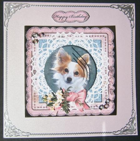 Sweet Sadie by Davina Rundle