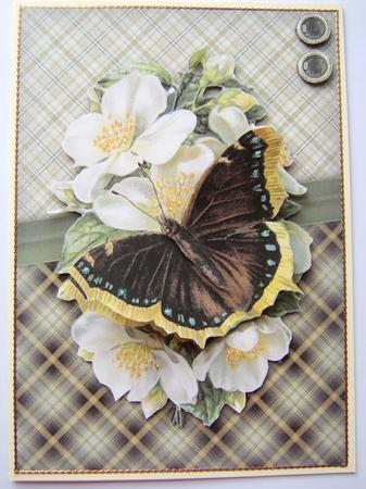 Butterfly & Flowers Quick Card by Davina Rundle