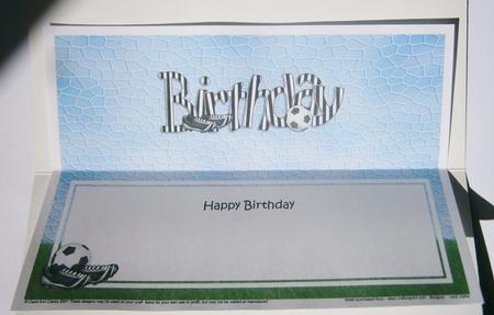 Happy Birthday Matching Large Dl Insert by Davina Rundle