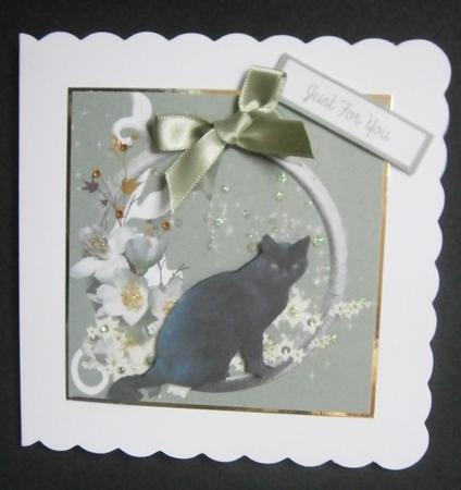 Black Cat with White Flowers by Davina Rundle