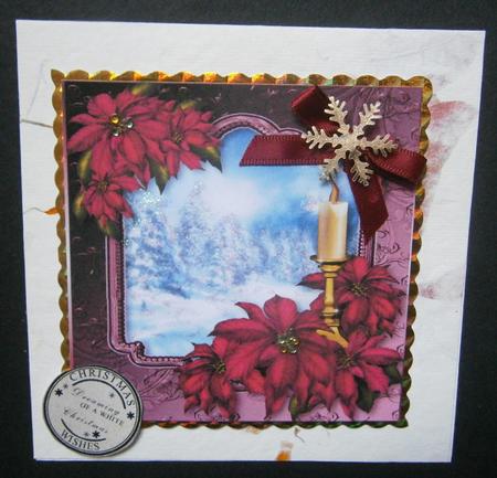 Pink Poinsettia Scenic Christmas - Square by Davina Rundle