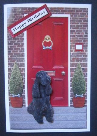 Cocker Spaniel,black,with a Red Door by Davina Rundle