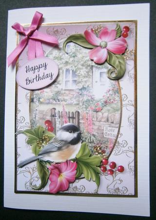 Beautiful Bird at the Rose Cottage by Davina Rundle