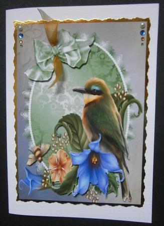 Beautiful Green Bird in Flowers by Davina Rundle