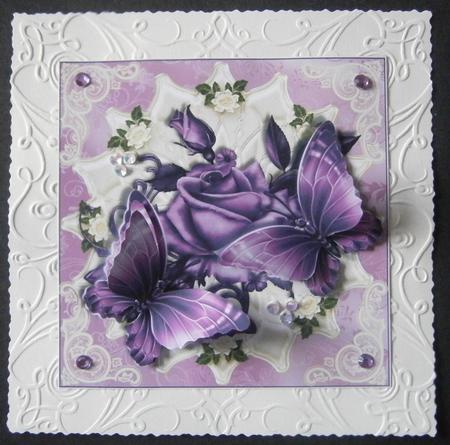 Satin Rose and Butterflies by Davina Rundle
