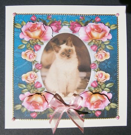 8 x 8 Birman Kitty Cat & Roses Decoupage Card Topper by Davina Rundle