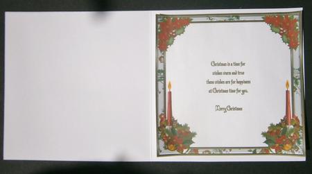 Christmas Holly & Berries 8 x 8ins Insert 1 by Davina Rundle