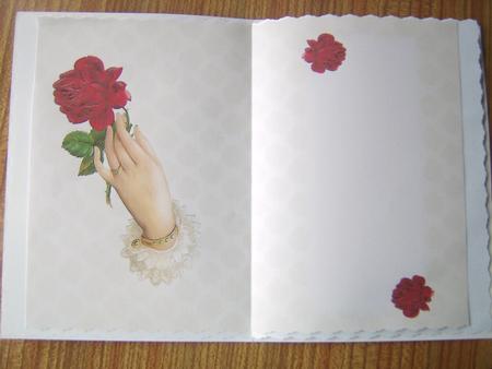 A Single Red Rose Insert by Davina Rundle