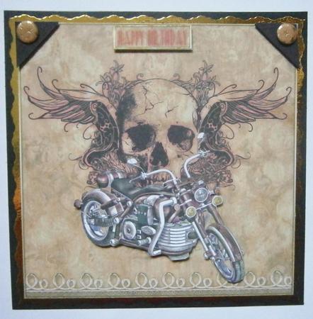 Born to Be Wild by Davina Rundle
