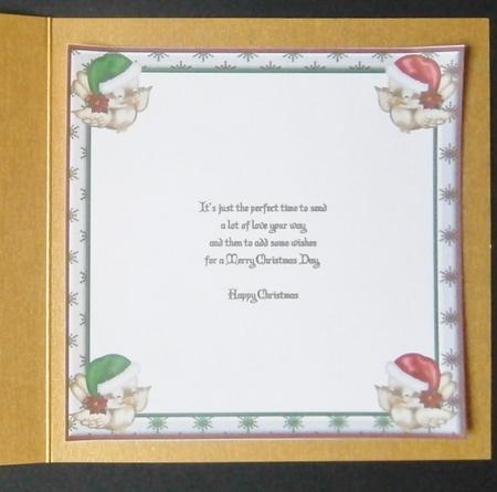 Cosy Christmas Owls 8 x 8ins Insert 2 by Davina Rundle