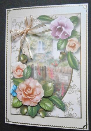 Peach Camellias at the Rose Cottage by Davina Rundle