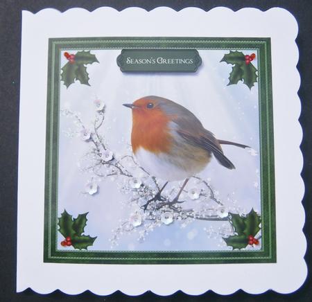 Gorgeous Robin & Holly - Quick Topper by Davina Rundle