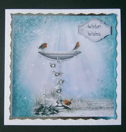 Snowflake Sparkle - Gorgeous Robins by Davina Rundle