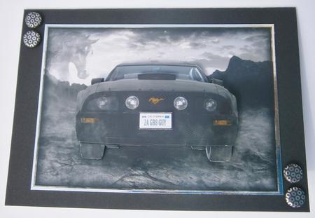 Black Mustang by Davina Rundle