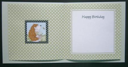 Cute Hedgehog Square Card Insert by Davina Rundle