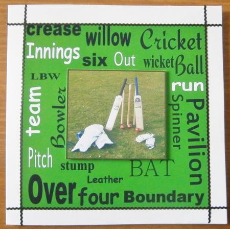 Cricket Urban Art by Davina Rundle