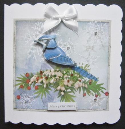 Blue Jay and Snow Flakes Card Topper & Decoupage by Davina Rundle