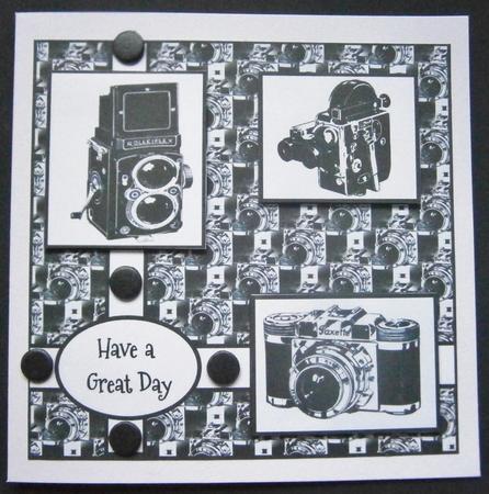 Have a Great Day Vintage Cameras by Davina Rundle