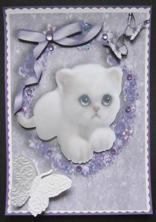 Gorgeous Fluffy White Kitten in Purple Floral Frame by Davina Rundle