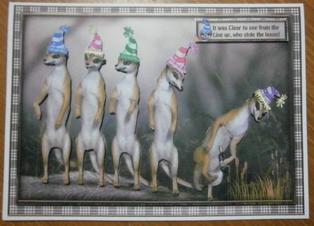 The Merry Meerkat by Davina Rundle