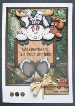 Holy Cow! You're How Old? by Davina Rundle