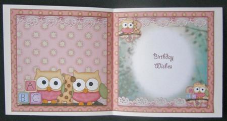 Little Owls Insert by Davina Rundle