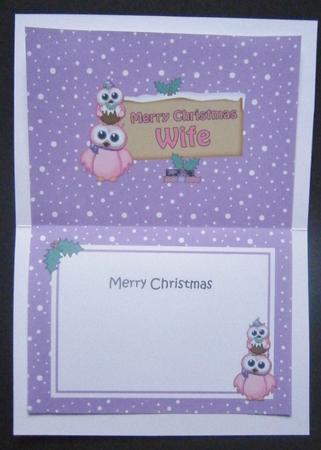Xmas Wife Owl Signpost 5x7 Matching Insert by Davina Rundle