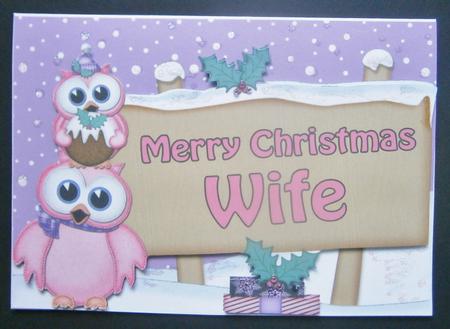 Xmas Wife Owl Signpost 5x7 Easicut Decoupage by Davina Rundle