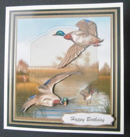 Mallards in the Tall Reeds . by Davina Rundle