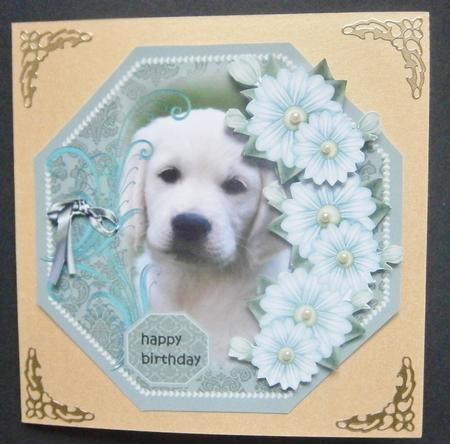 Octagon Puppy Love by Davina Rundle