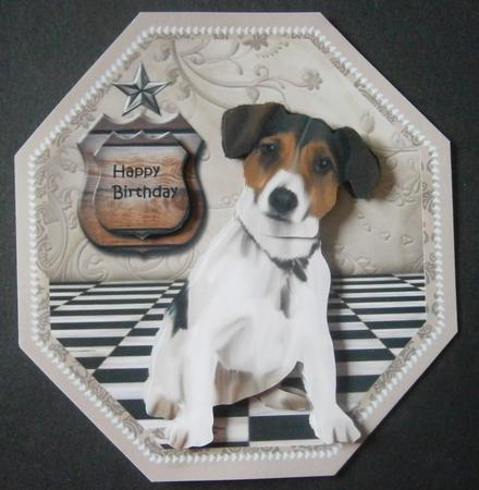 Octagon Little Jacky by Davina Rundle