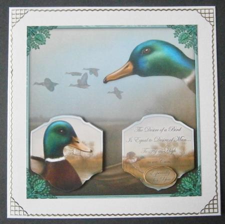A Birds Desire 8x8 by Davina Rundle